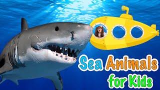 Sea Animals For Kids | Soso Goes On A Submarine to Explore Some Sea Animals!