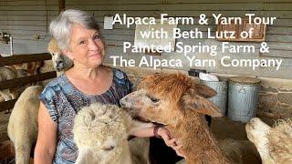 Alpaca Farm & Yarn Tour with Beth Lutz of Painted Spring Farm & The Alpaca Yarn Company!