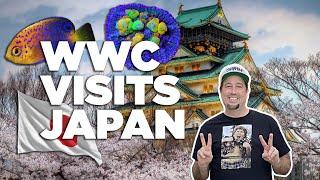 WWC Goes To JAPAN!! Aqua Tailors *FULL AQUARIUM TOUR*