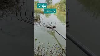 Ninja New Fishing Video Fishing with Norm,fishing,shorts,reels,fishing video