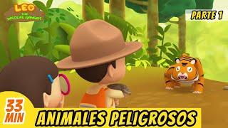 Animales Peligrosos Episodio Compilación [Parte 1/2] (Español) - Leo, El Explorador | Animación