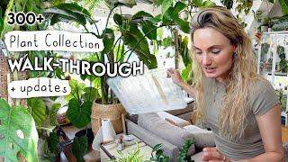 Houseplant Collection Walkthrough + Growth Updates 