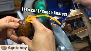 Cutting mexican El Sueco Agates ! | 4K