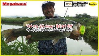 [MEGABASS] 비가 오는 날은 롤링몽키댄싱 GONG!! + BOTTLE SHRIMP 실조 영상 (배스낚시, 루어낚시, 메가배스, 런커, LUNKER)