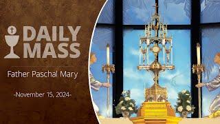 Catholic Daily Mass - Daily TV Mass - November 15, 2024