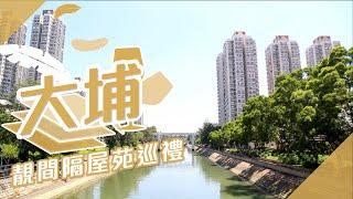 【大埔搵樓】大埔廣場．寶湖花園．天賦海灣．大埔靚間隔屋苑巡禮