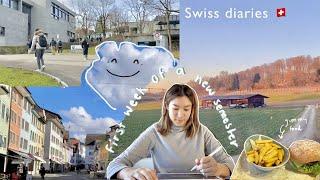 A week in my life at university in Switzerland  (University of St.Gallen)