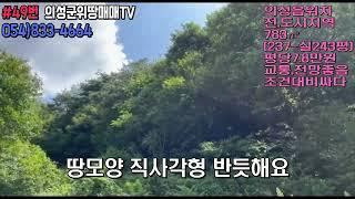 #49번 의성군위땅매매TV 소자본으로 명당!내땅! 1900만원/#의성부동산#군위부동산#가음땅#춘산땅#귀농귀촌#주말농장#싼땅#농가주택#임야#자연인#묘터