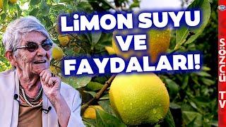 Canan Karatay Limon Suyunun Faydalarını ve Bilinmeyenlerini Anlattı