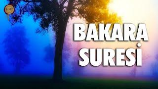 Bakara Suresi | Evdeki Geçimsizliğe, Huzursuzluğa, Sıkıntılarınıza Şifa - Eyad Mohra