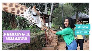 THINGS YOU NEED TO KNOW ABOUT GIRAFFES//Wongel Zelalem