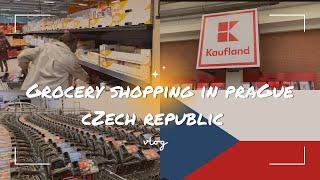 A day in my life living in Czech Republic | vlogging |grocery shopping | #czechrepublic #vlogging