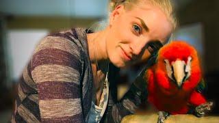 I'm SORRY Morgan!!! | Birdie Bank Account Lesson