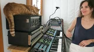 COLLEEN "NIGHT LOOPING - MOVEMENT II" - MOOG GRANDMOTHER AND MF-104M DELAY - FEATURING SOL THE CAT