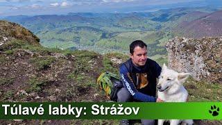 Túlavé labky: Strážov (Strážovské vrchy)