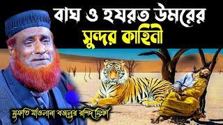 বাঘ ও হযরত উমরের আজব ঘটনা মাওঃ বজলুর রশিদ । Bozlur Roshid Waz Mbr waz Tv HD !! বাংলা ওয়াজ বজলুর রশিদ