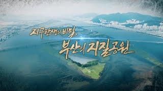 [특집] 지구탄생의 비밀, 부산의 지질공원 | KBS 210907 방송