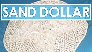 My Favorite Knitted SAND DOLLAR BLANKET | Summer Knit Series