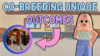 How to Get All *CO-BREEDING UNIQUE OUTCOMES* + What They Look Like | Wild Horse Islands