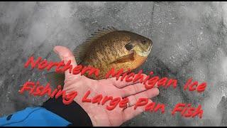 Northern Michigan Ice Fishing Large Panfish (sketchy Ice) 12/27/24