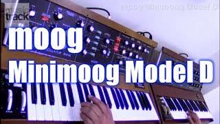 Minimoog Model D Demo & Review [English Captions]