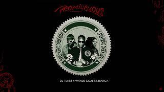 DJ Tunez - Promiscuous ft. Wande Coal & Libianca (Official Audio)