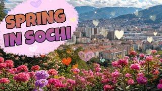 ТАК ОЩУЩАЕТСЯ НАЧАЛО ВЕСНЫ В СОЧИ | SPRING IN SOCHI | 1-8 марта,2024