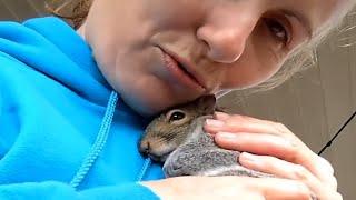 Woman does the sweetest thing for orphaned squirrel