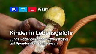 Kinder nach Pilzvergiftung in Lebensgefahr und auf Spenderleber angewiesen | RTL WEST, 16.10.2024