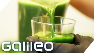 Selbstversuch: 5 Tage Detoxkur | Galileo | ProSieben