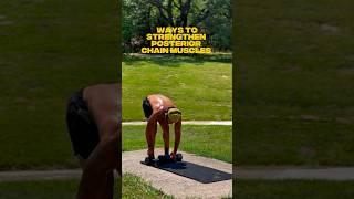  Effective Techniques For Strengthening Posterior Chain Muscles. #shorts
