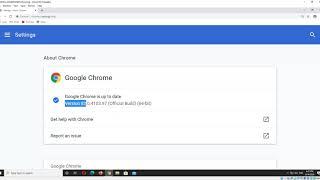Check Google Chrome version