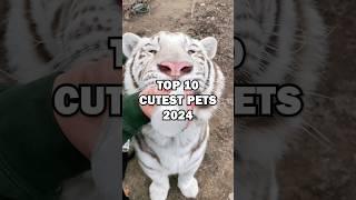 TOP 10 CUTEST PETS! #animals #cuteanimals #pets #cute #cutepets #cutestpets #top10 #top10list