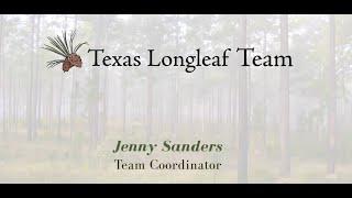 Wildlife Diversity Webinar Series - Texas Longleaf Team