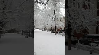 Новочеркасск.Снег