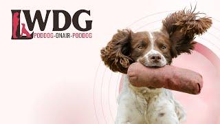 LWDG POD DOG - How To Reset A Training Exercise: Helping Dogs Learn Through Patience and Repetition