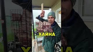 ХАЙНА - жареные ребрышки оленя