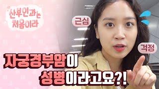 성 경험이 없으면 자궁경부암 검사 안 해도 된다? |자궁경부암 증상, 검사 방법, 검사 아파요?|