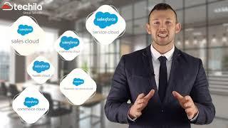 Techila Global Services | Top Rated Salesforce Development Company