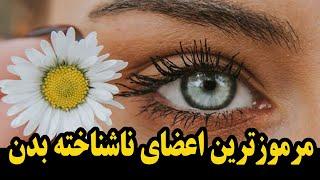 دوازده قسمت از اعضای بدن که نمی دانستید دارید