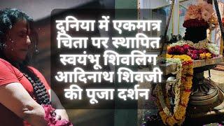 Shivji, Mahavtar Baba Ji Maharaj & Hanumaan Ji Puja #kriyayoga #adinath #hanumanji #viralvideo