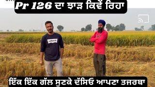 PR126 ਦਾ ਕਿਵੇਂ ਰਿਹਾ ਝਾੜ ਆਜੋ ਕਰਦੇ ਆ ਵੱਡੇ ਬਾਈ ਨਾਲ ਗੱਲ