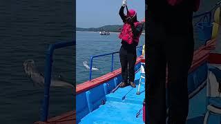 [강화도금양호농어낚시]이정도는 들어뽕 !