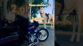 Ghode video@MasoomSharma  #newharyanvisong # #dtc #automobile #delhi #farming #farmer #song