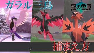 【ポケモン剣盾・冠の雪原】ガラル三鳥捕まえ方