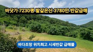 바닷가 바다조망 7230평 완벽한땅     몽땅3780만 급매매 가격절충 가능