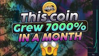 This Coin Went Up 7000% IN A MONTH Can It Happen Again? 