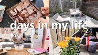 brownies, outing & getting the garden summer ready - days in my life