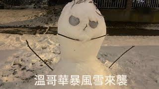 溫哥華留學日常(2022) | Nov 29th | 生蠔&海鮮 | Nero Waffles | 溫哥華降大雪 | 資源回收 | 堆雪人 | 打雪仗 | Feat. William &Nicole