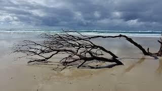 Breathe out - come on a beach walk instead